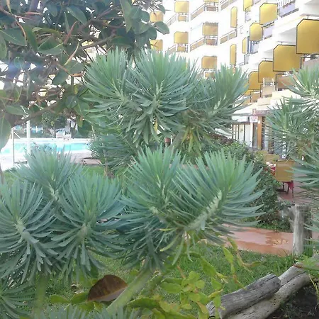 Europa Apartment *